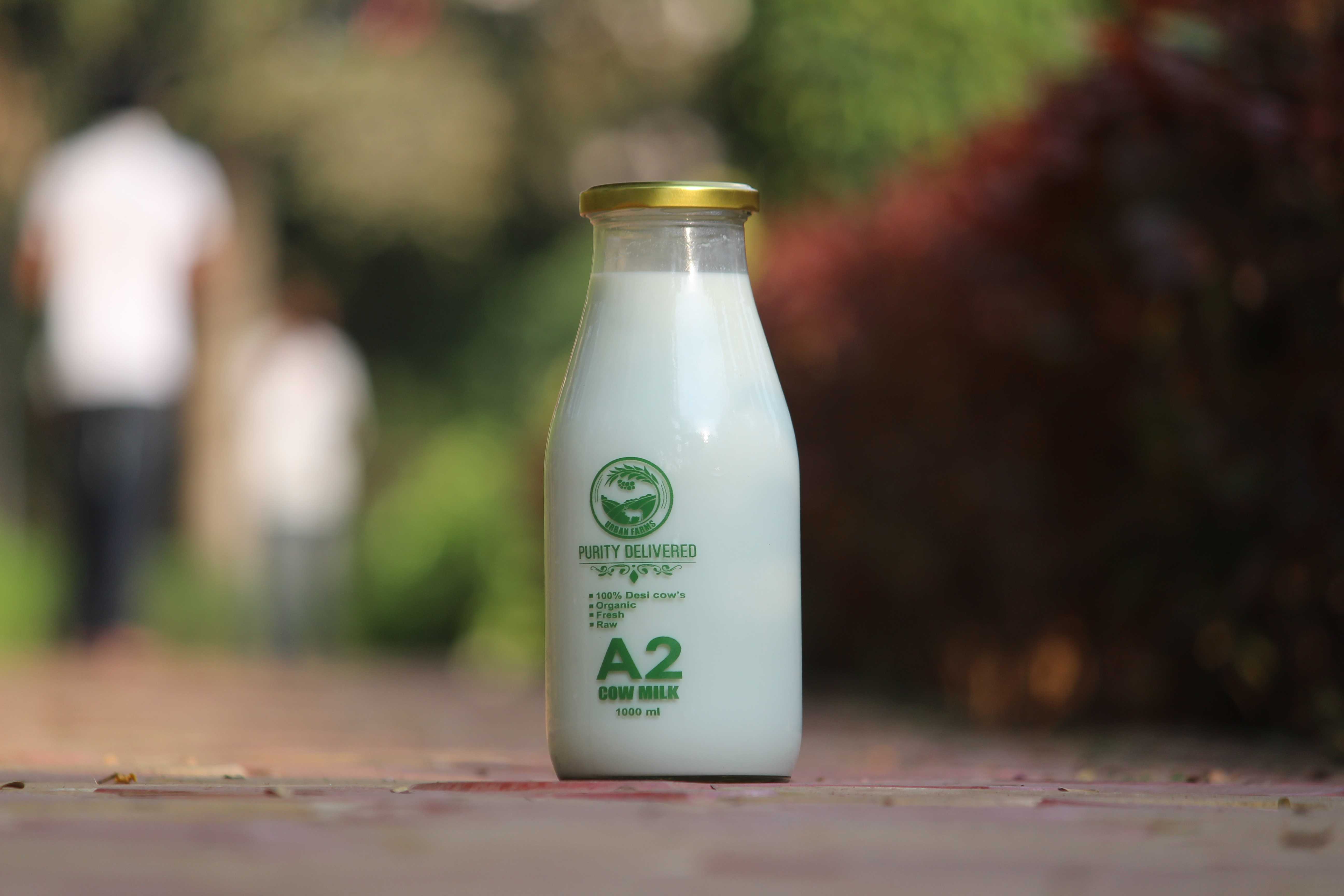 Desi Fresh Cow Milk In Pune