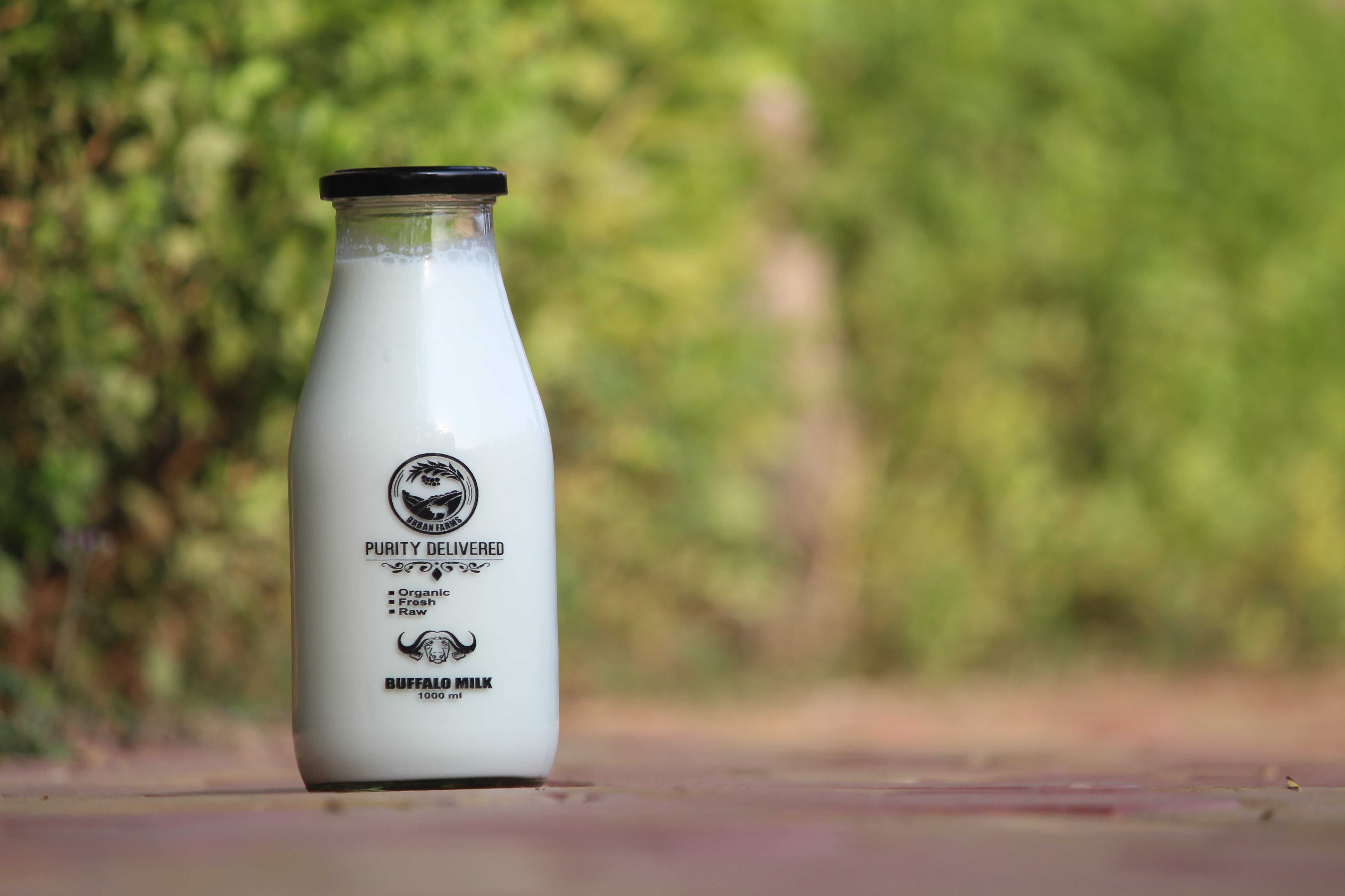Best A2 Cow Milk