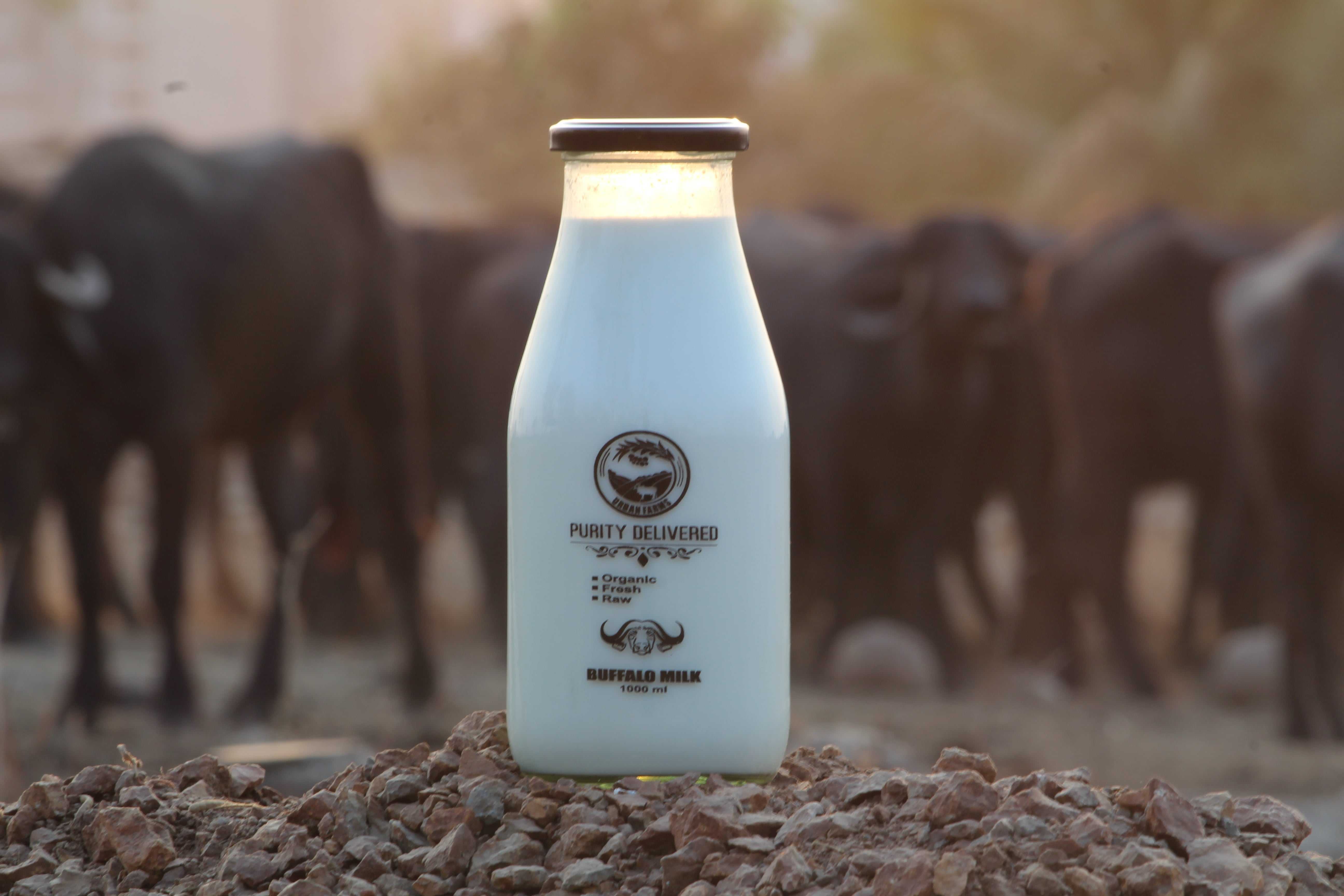 Best A2 Organic Milk Price In Pune
