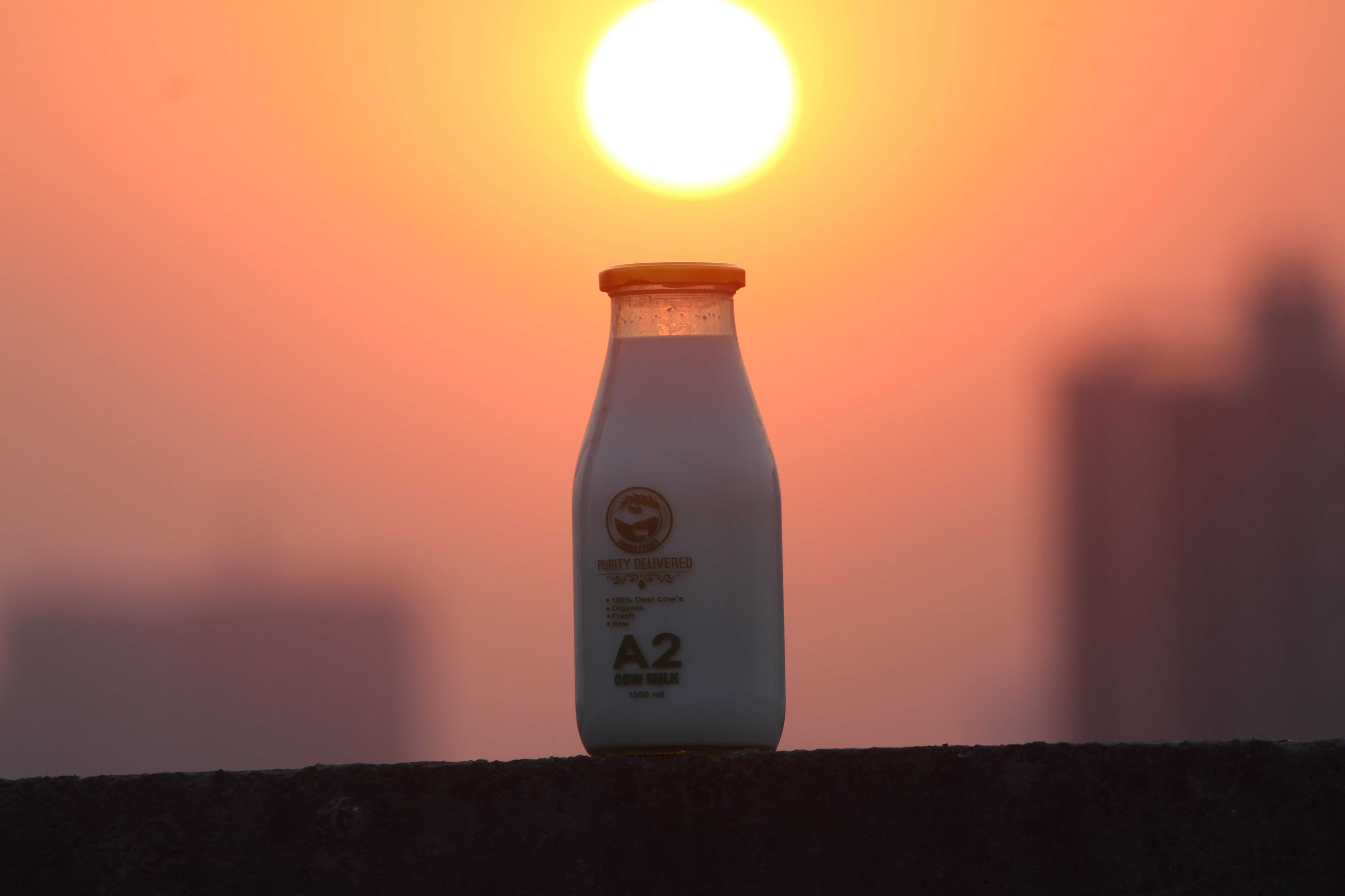 Organic A2 Milk In Pune