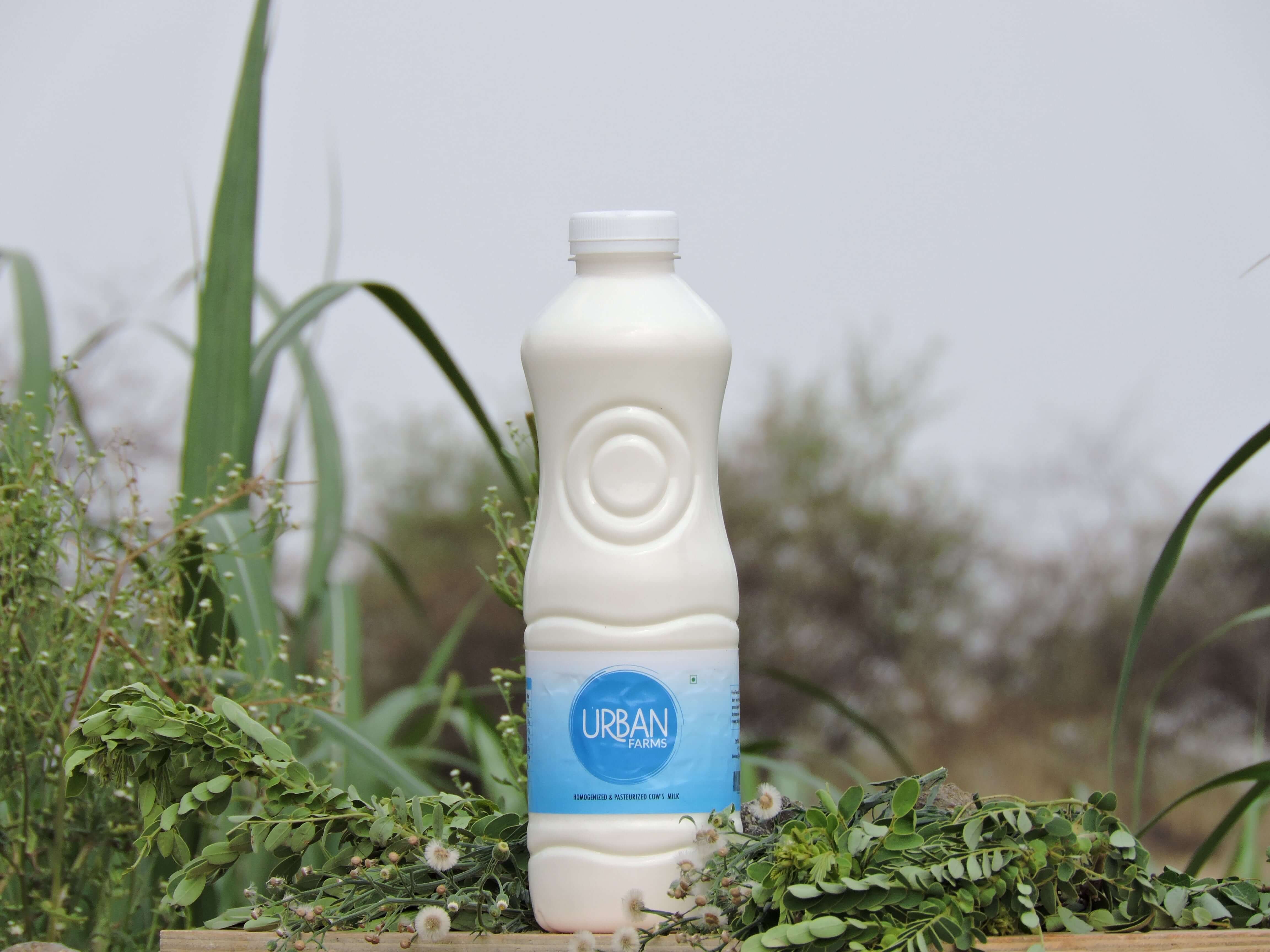 Premium A2 Milk in pune